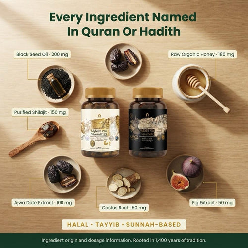 6in1 Complex — The 1400 Year Old Health Stack for Muslims