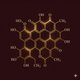 Fulvic Acid