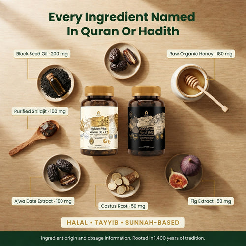 6in1 Complex — The 1400 Year Old Health Stack for Muslims