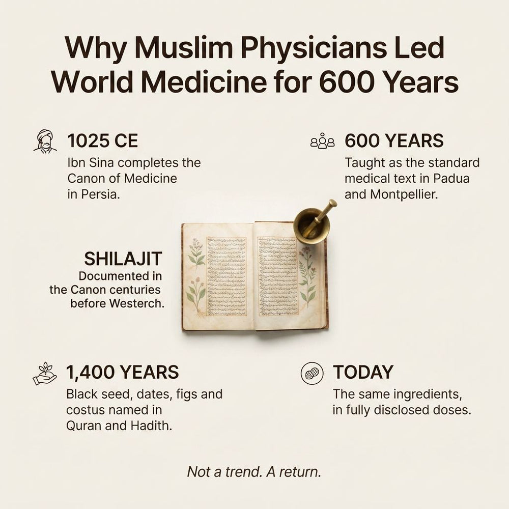 Why Muslim physicians led world medicine: Ibn Sina and shilajit